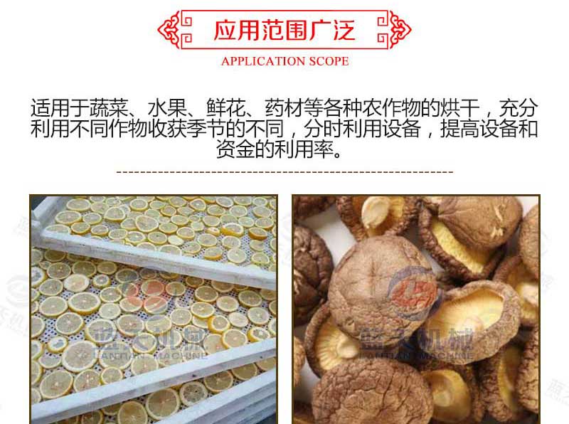 羊肚菌烘干機應用范圍