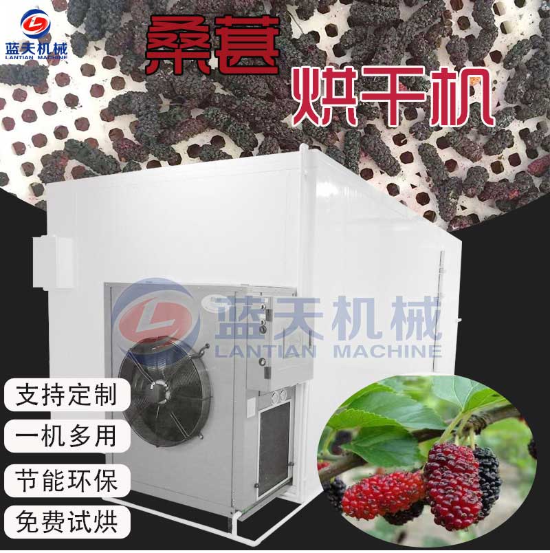 桑葚烘干機