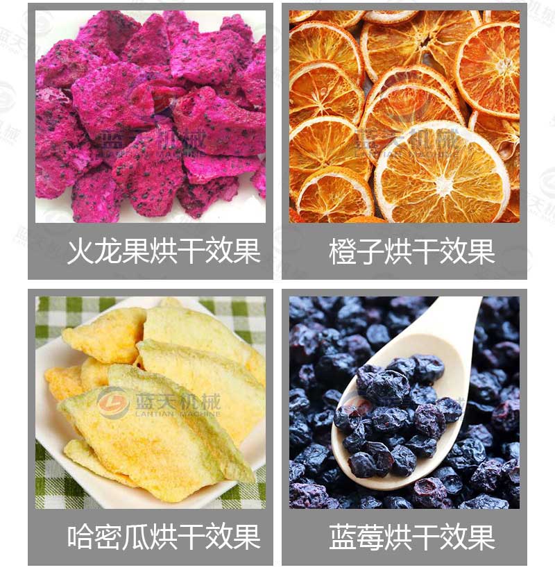 桑葚烘干機烘干效果