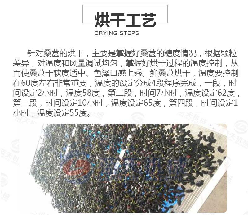 桑葚烘干機烘干工藝