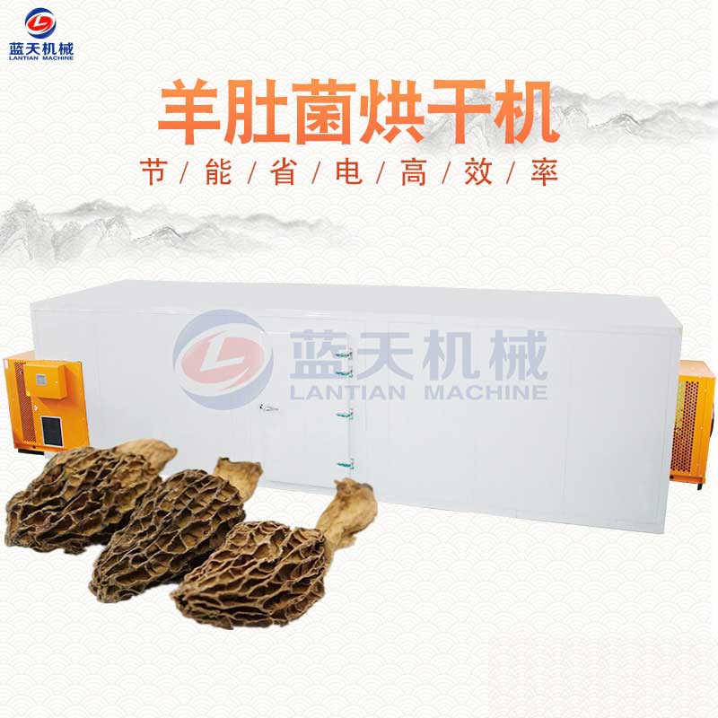羊肚菌烘干機