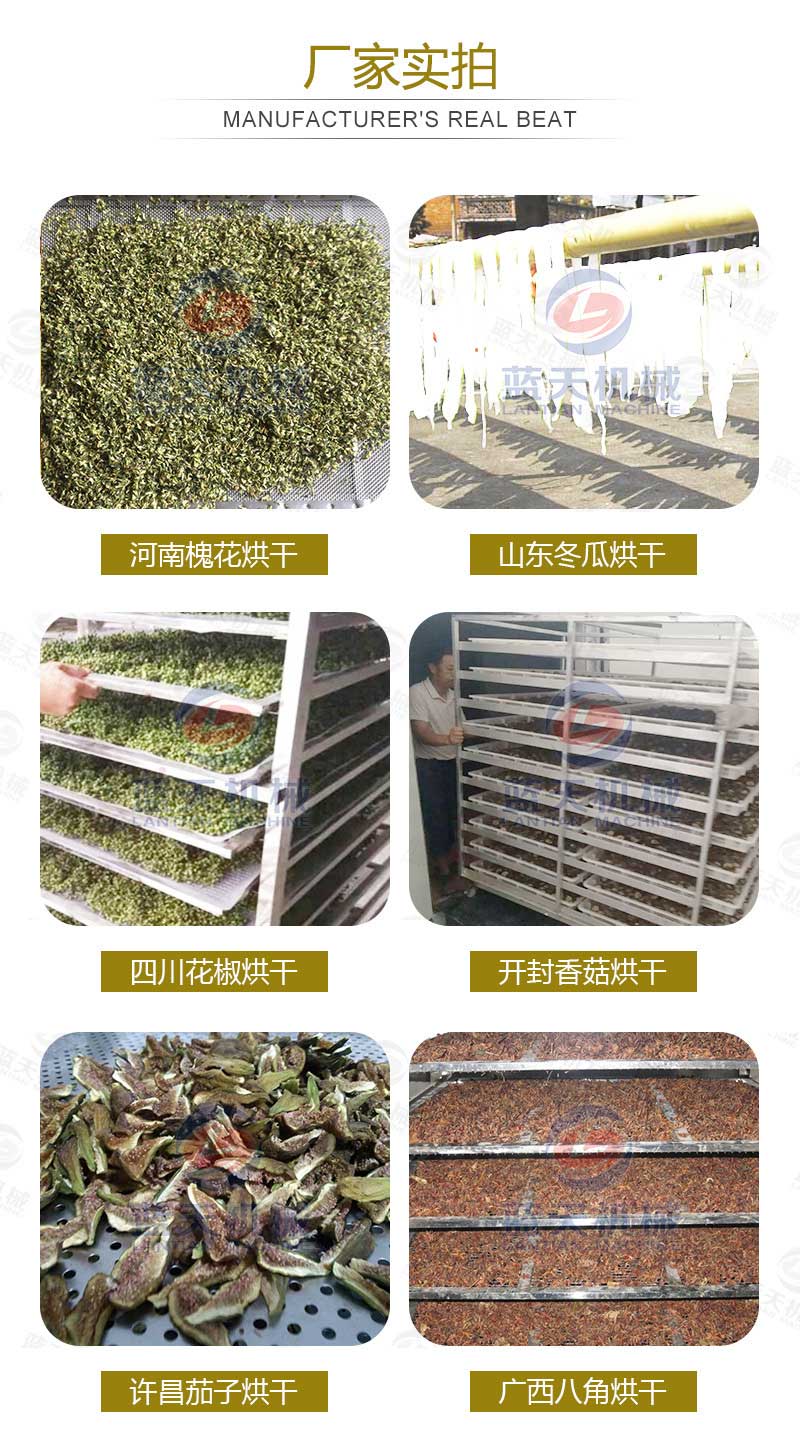 槐花烘干機廠家實拍