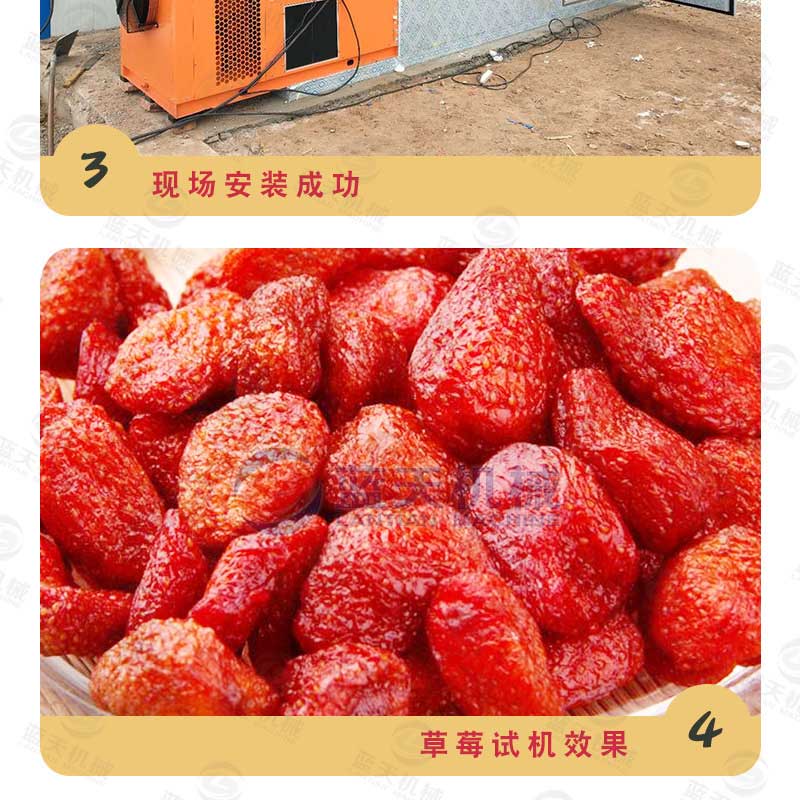 草莓烘干機(jī)用戶現(xiàn)場