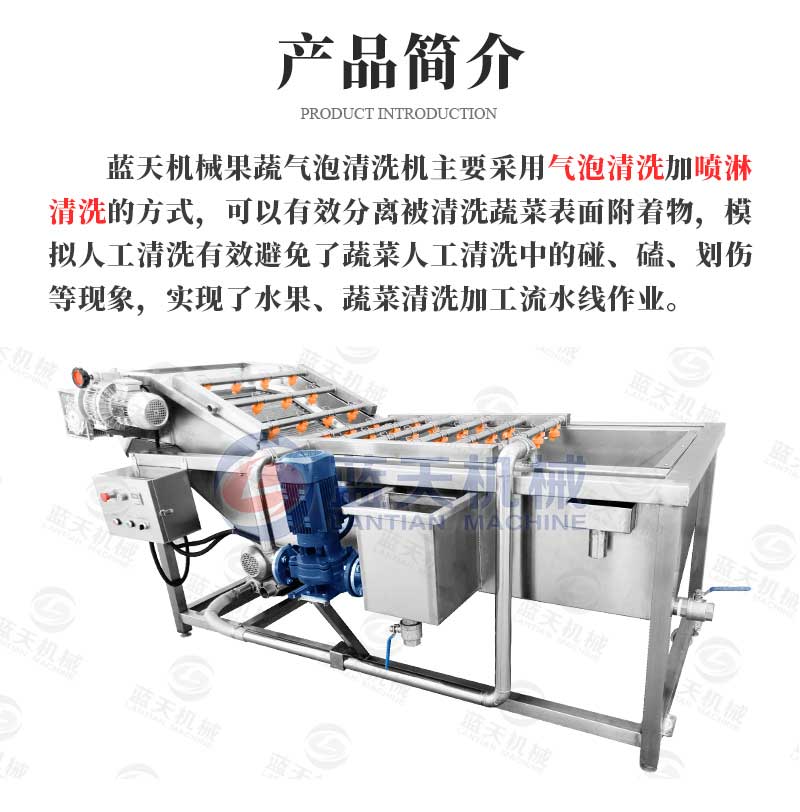 果蔬氣泡清洗機產(chǎn)品簡介