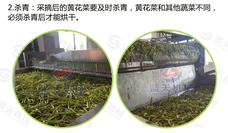 黃花菜烘干機(jī)烘干工藝